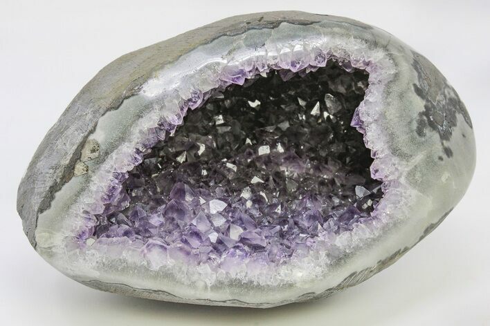 Purple Amethyst Geode With Polished Face - Uruguay #199749